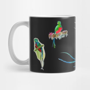 Quetzal Collection! Hand Painted Watercolor Quetzals Mug